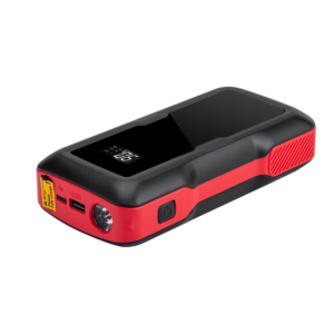 CY19 Battery Charger